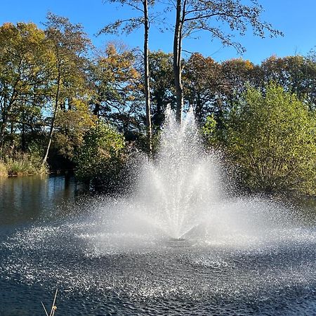 Oak Boutique Lodge Includes Hot Tub Air Con & Dog York Eksteriør bilde