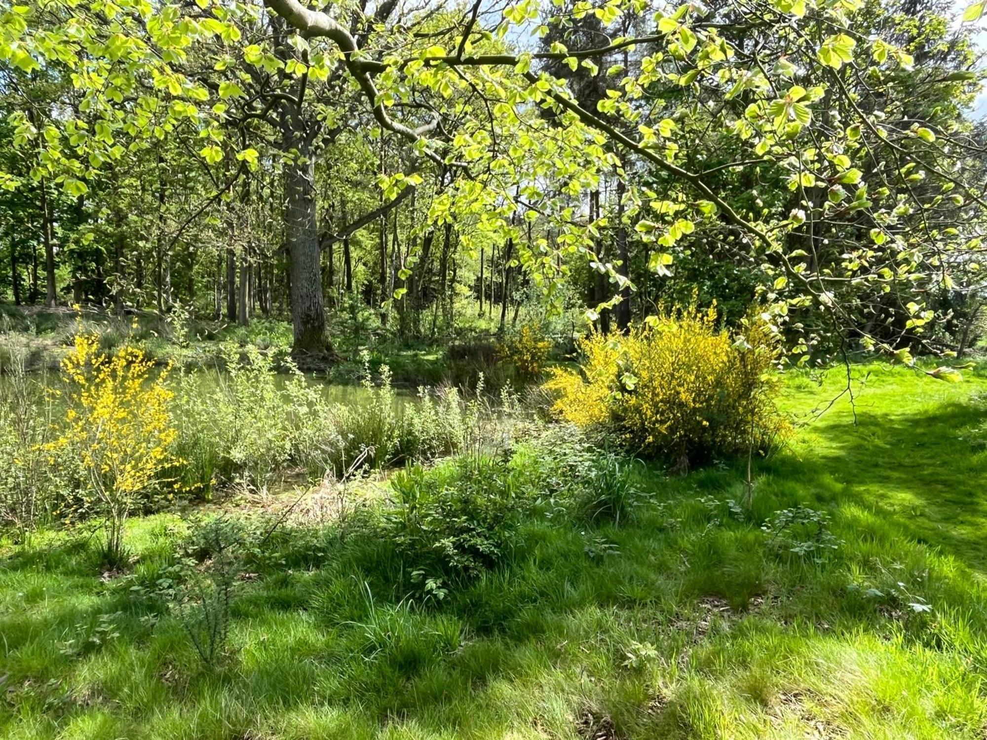 Oak Boutique Lodge Includes Hot Tub Air Con & Dog York Eksteriør bilde