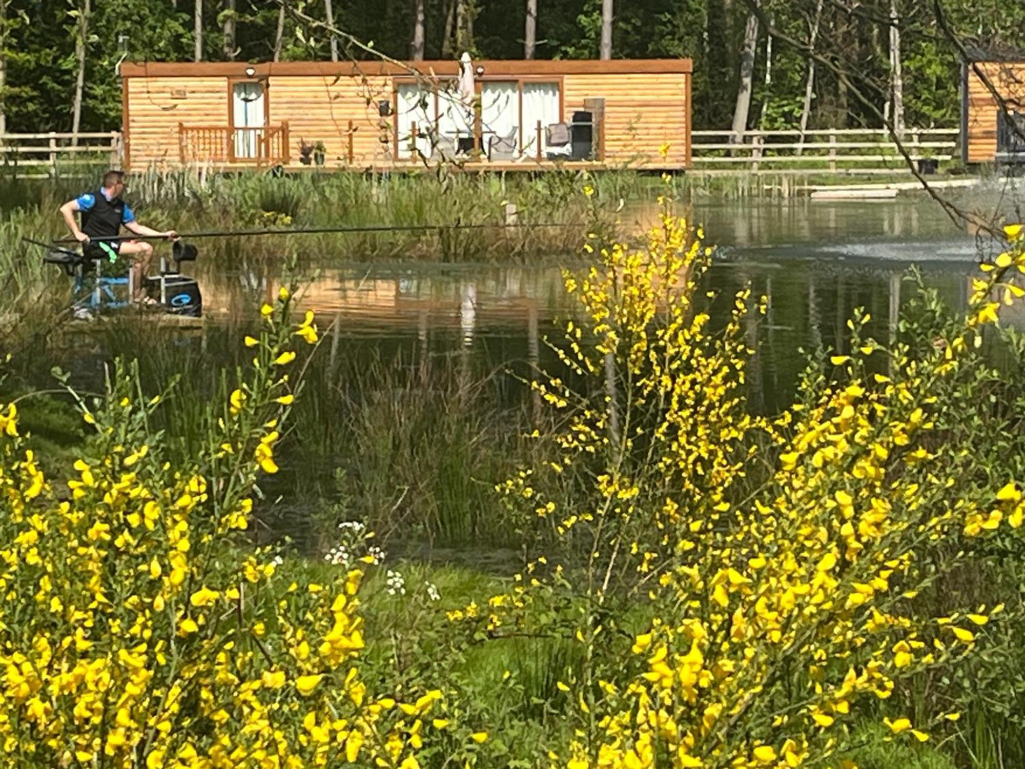 Oak Boutique Lodge Includes Hot Tub Air Con & Dog York Eksteriør bilde